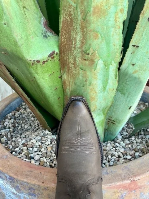 Circle G Women's Boot - L6014