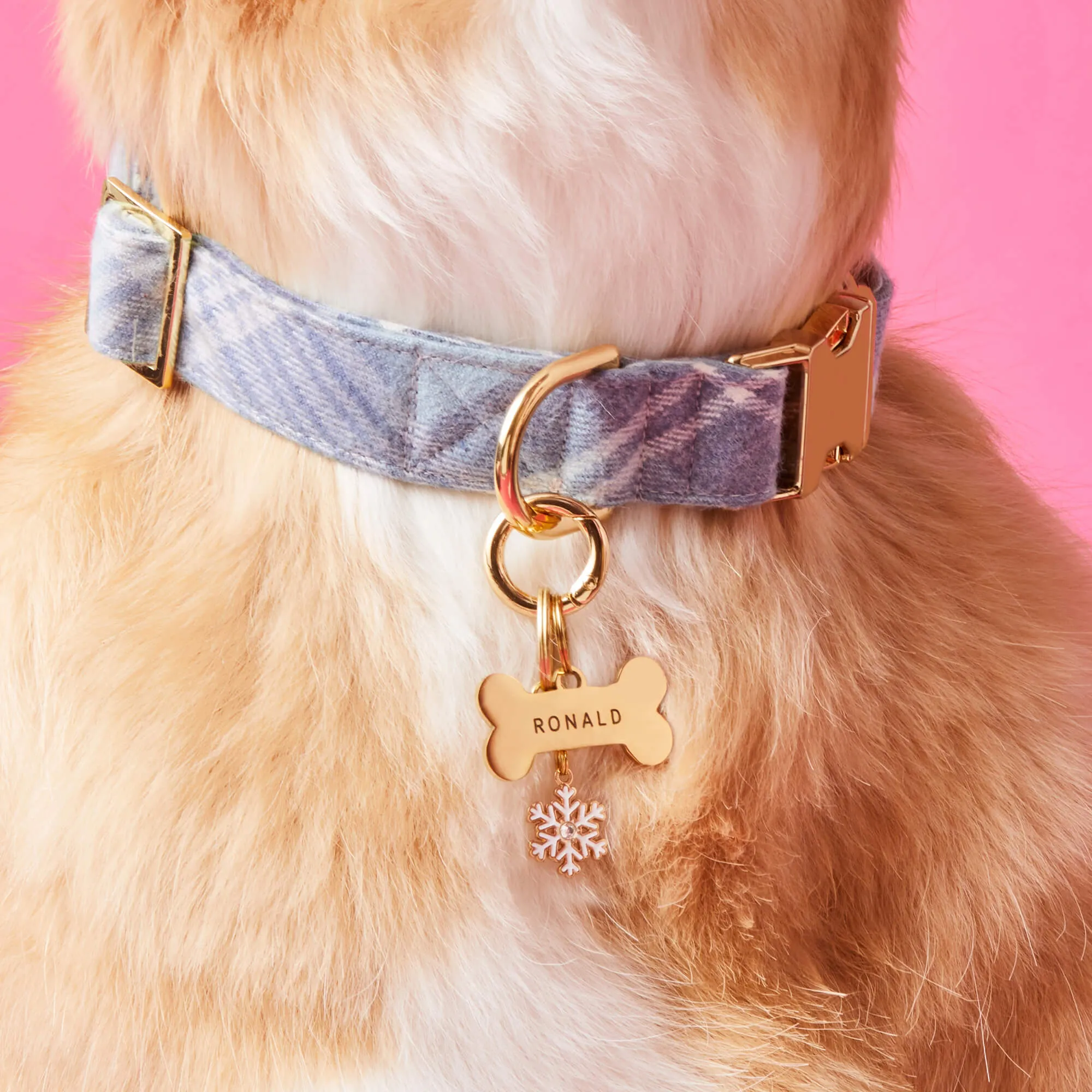 Snowflake Collar Charm